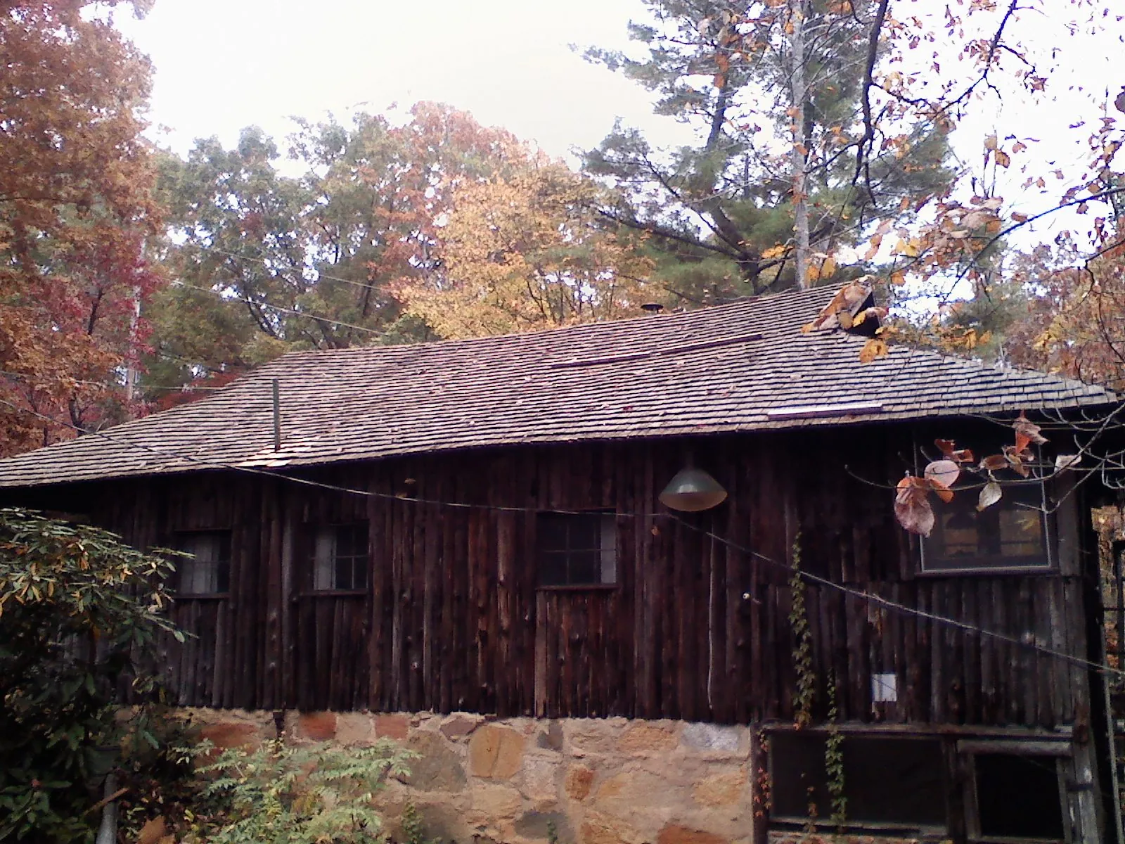 Weathered wood shake roof on a rustic board sided cabin in Flint